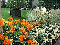 427 Longwood Gardens [2008 August 23]